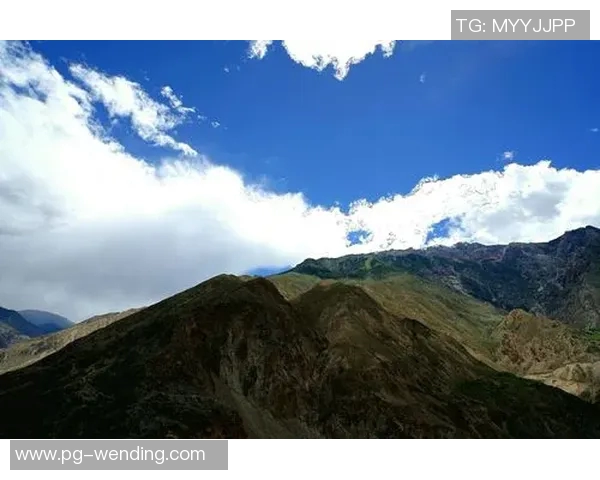 问鼎娱乐wd518-星际娱乐之旅,问鼎娱乐WD518的独特魅力-问鼎娱乐wd518